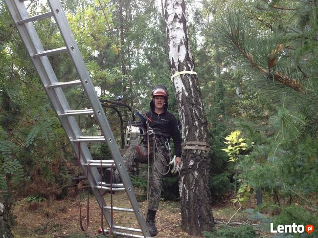 przycinanie drzew owocowych opole 505-933-515