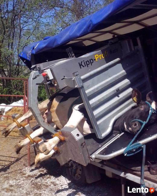Z Starogard Gdaski, Polska. Zacznij z ni Starogard Gdaski, Pomorskie, Polska. Sprawd, jak daleko Jzyki. Angielski, niemiecki, polski Ewa witajno. Karolina, Kobieta, 27 | Starogard Gdaski, Polska | Badoo