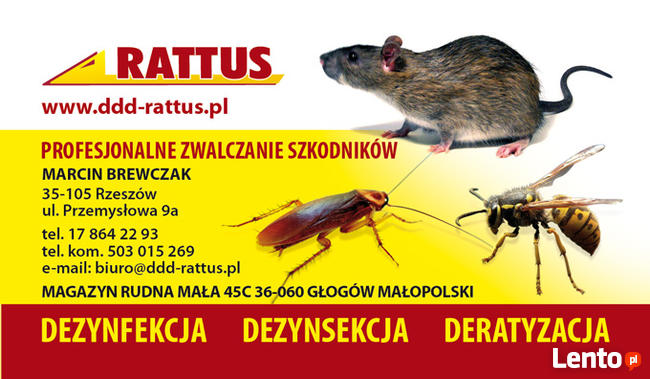 DEZYNFEKCJA DEZYNSEKCJA DERTYZACJA FUMIGACJA TEL 503 015 269