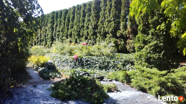 Usługi OGRODNICZE odnawianie ogrodu Nawodnienie