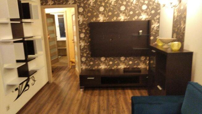 mieszkanie do wynajecia