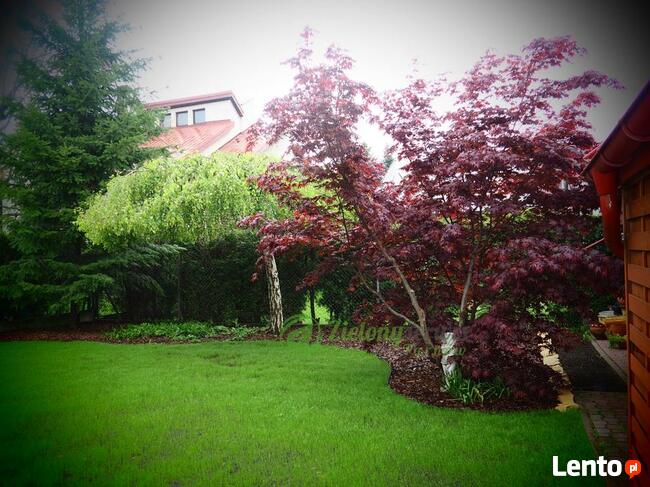 Projektowanie, zakładanie, pielęgnacja, modernizacja ogrodu