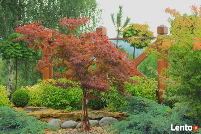 Projektowanie, zakładanie, pielęgnacja, modernizacja ogrodu