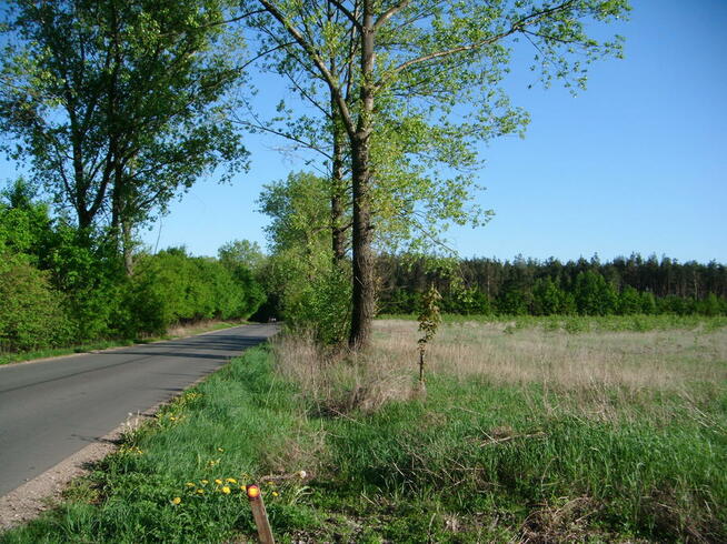 działki budowlane bezpośrednio 95 zł/m2 Mszczonów 3 km