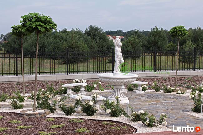 Projektowanie, zakładanie, pielęgnacja, modernizacja ogrodu