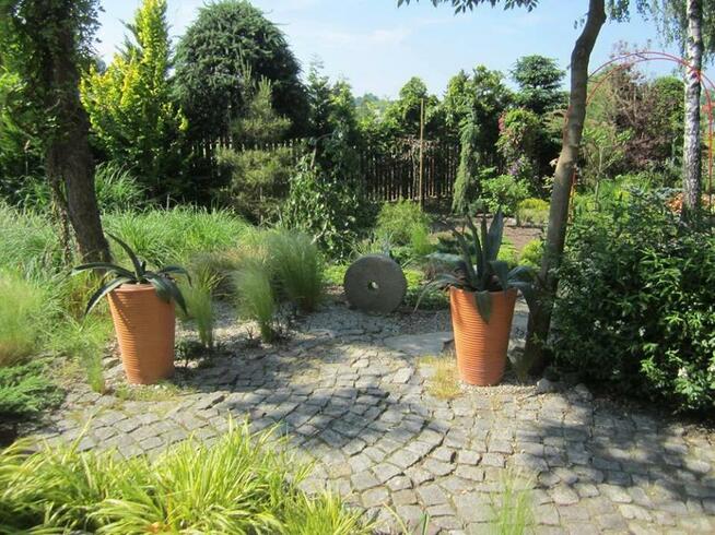 Projektowanie, zakładanie, pielęgnacja, modernizacja ogrodu