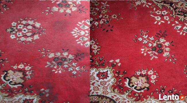 Pranie dywanów, wykładzin oraz tapicerek