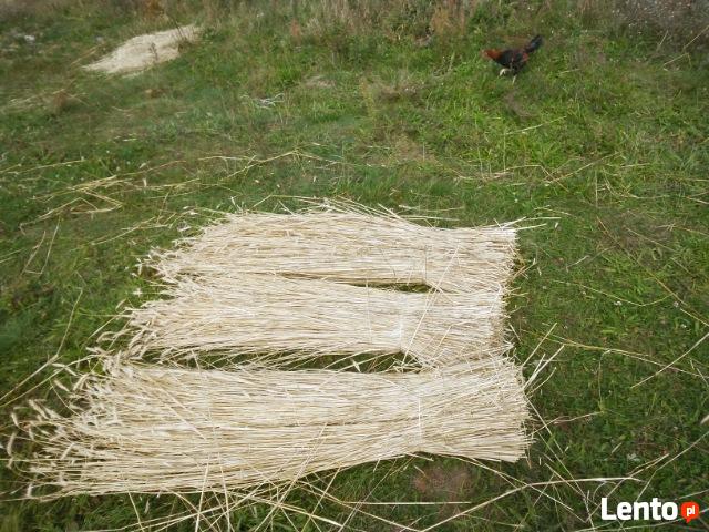 Słoma żytnia prosta wykrętki, wykręcaki