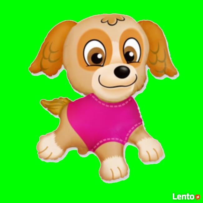 sklep z balonami BALONY FOLIOWE, GUMOWE, BAJKOWE
