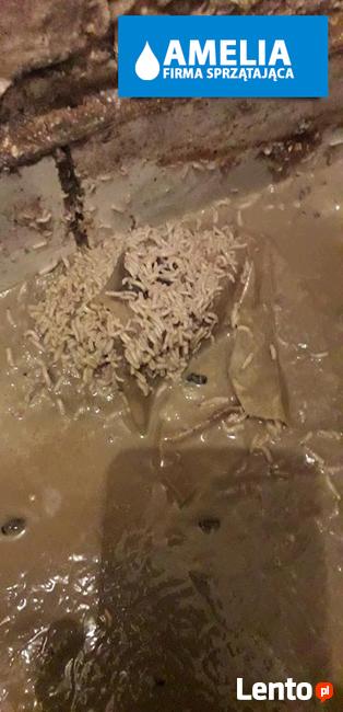 Dezynfekcja pomieszczeń po zalaniu Warszawa 24h/7