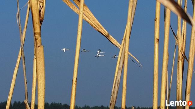 Cena za m2 terenu budowlanego wynosi 10€/m2 netto.