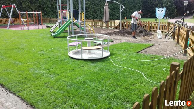 Przycinanie drzew i krzewów, odwodnienie ogrodu trawnik