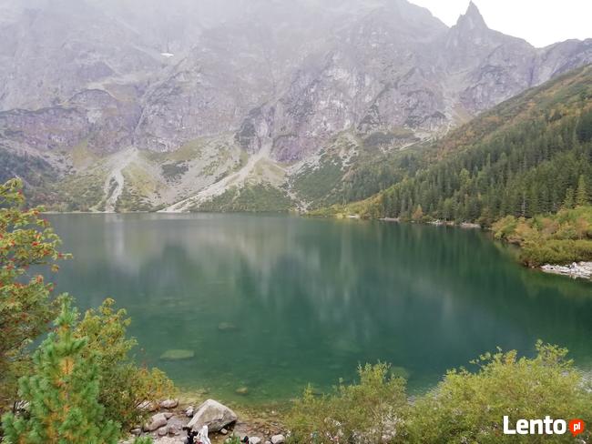 Każdy wiek ulega miłości