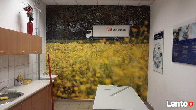 FOTOTAPETA na wymiar, fototapety druk PRODUCENT Naklejki APL