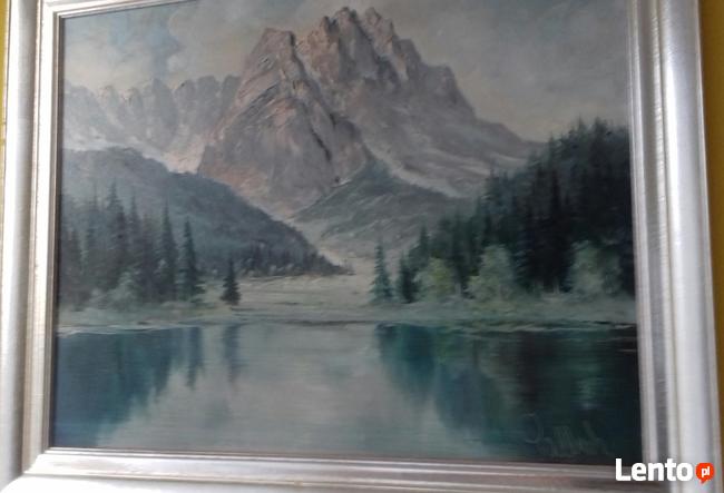 Sprzedam obraz malowany, olejny z sygnaturą w ładnej ramie