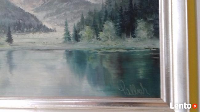 Sprzedam obraz malowany, olejny z sygnaturą w ładnej ramie