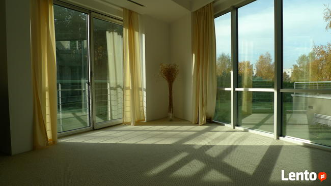 NIEPALĄCA STUDENTKA - sprzątanie mieszkania