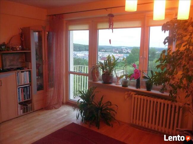 3-pokojowe mieszkanie na Nagórkach!