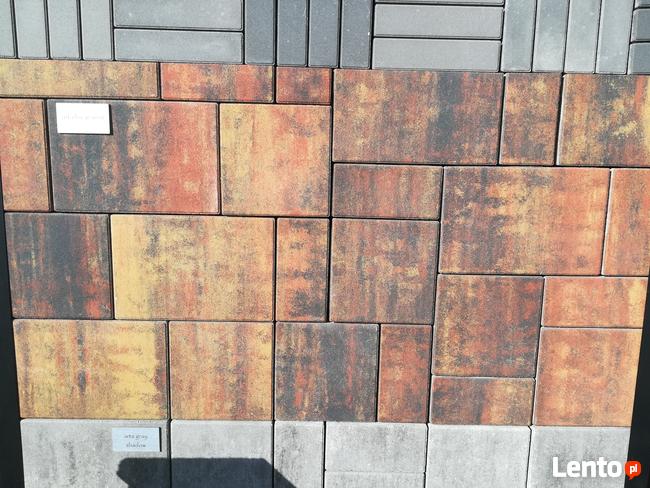 Kostka brukowa Arta płyty tarasowe