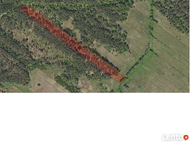 Grunty rolne, łąki, lasy