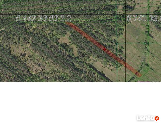 Grunty rolne, łąki, lasy