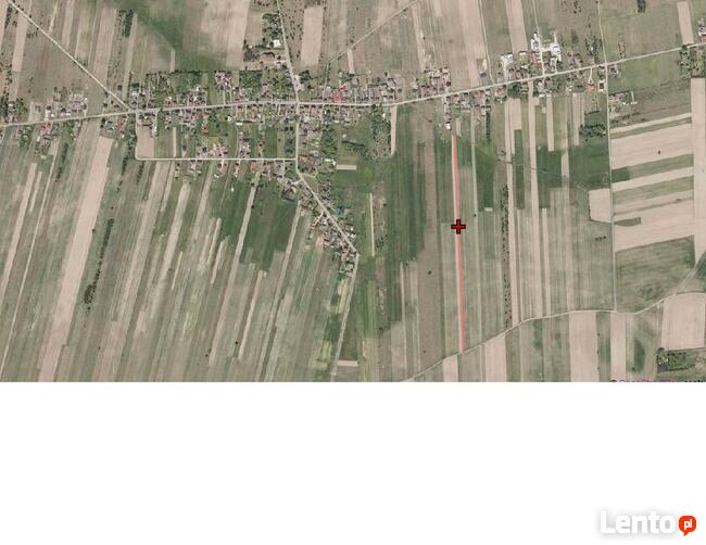 Grunty rolne, łąki, lasy