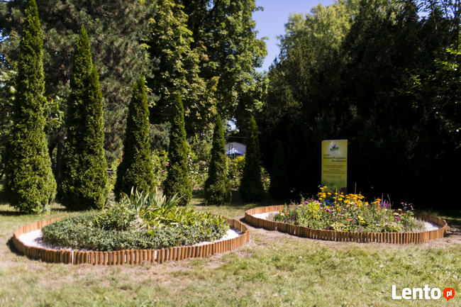 OGRODNIK jesienny serwis odnawianie ogrodu trawnika