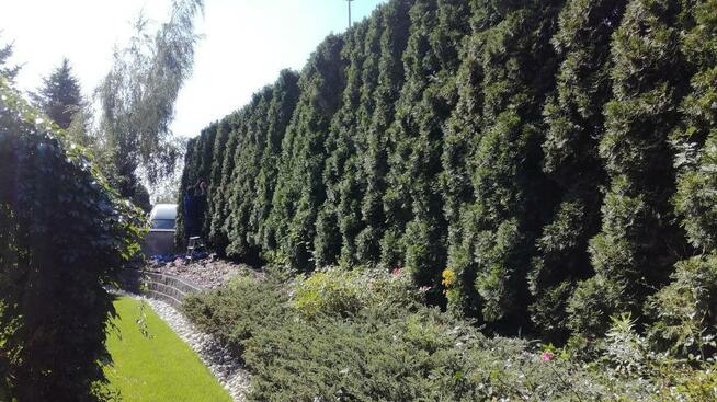 OGRODNIK jesienny serwis odnawianie ogrodu trawnika