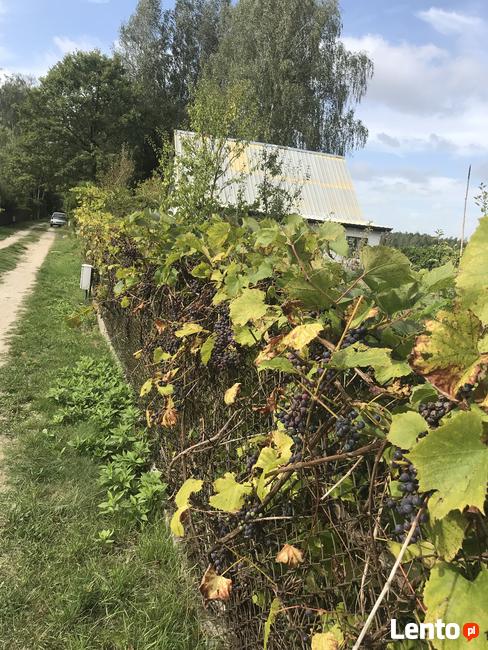 Dzialka pracownicza Wies Grochowa