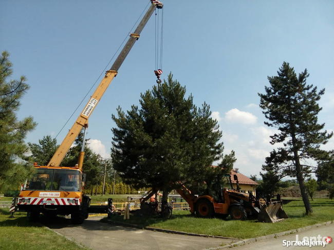 Dżwigi 20 i 35T , zwyżki od 15 do 35m wynajem Kęty B-B. Ośw.