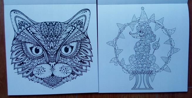 Zwierzęta Antystresowa kolorowanka kreatywna z brokatem