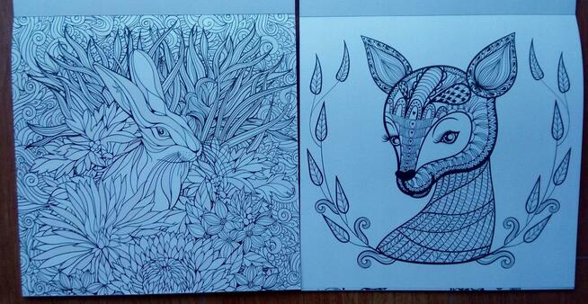 Brokatowa Antystresowa kolorowanka kreatywna relaks