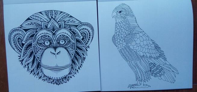 Zwierzęta Antystresowa kolorowanka kreatywna z brokatem