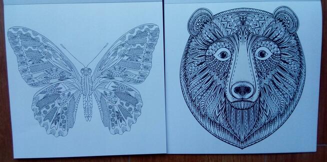 Zwierzęta Antystresowa kolorowanka kreatywna z brokatem