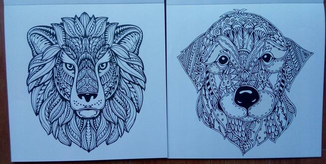 Zwierzęta Antystresowa kolorowanka kreatywna z brokatem