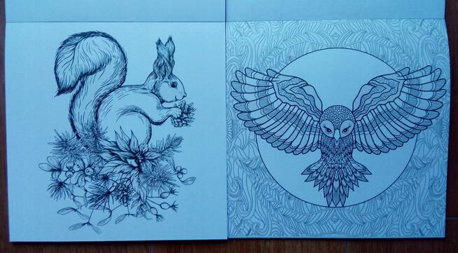 Brokatowa Antystresowa kolorowanka kreatywna relaks