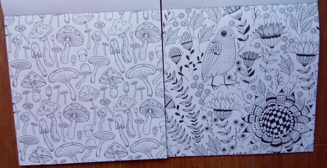 Brokatowa antystresowa kreatywna kolorowanka relaks