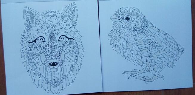 Zwierzęta Antystresowa kolorowanka kreatywna z brokatem