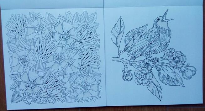 Kreatywna Kolorowanka antystresowa z brokatem motywy kwiatów