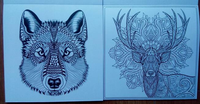 Brokatowa Antystresowa kolorowanka kreatywna relaks