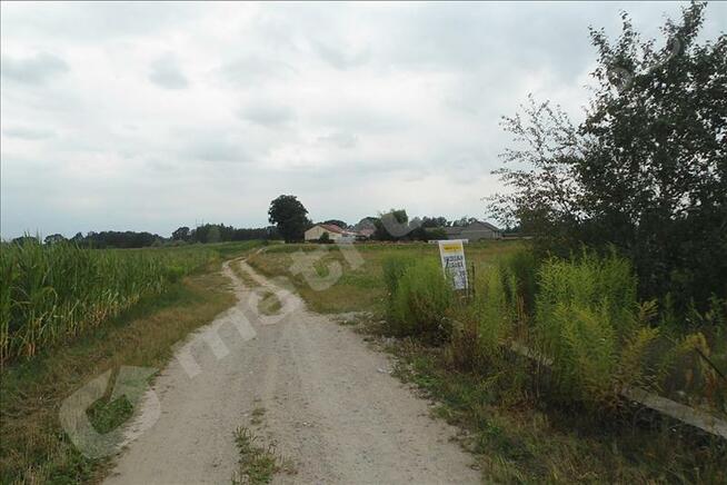 DZIAŁKA STARE GNATOWICE/KAMPINOS