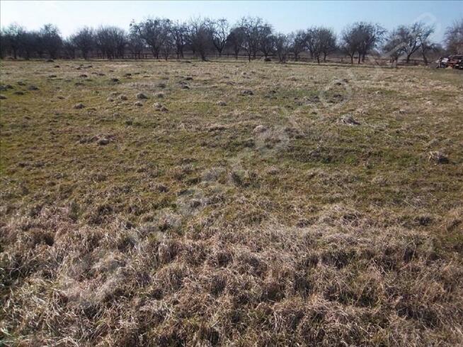 DZIAŁKA STARE GNATOWICE/KAMPINOS