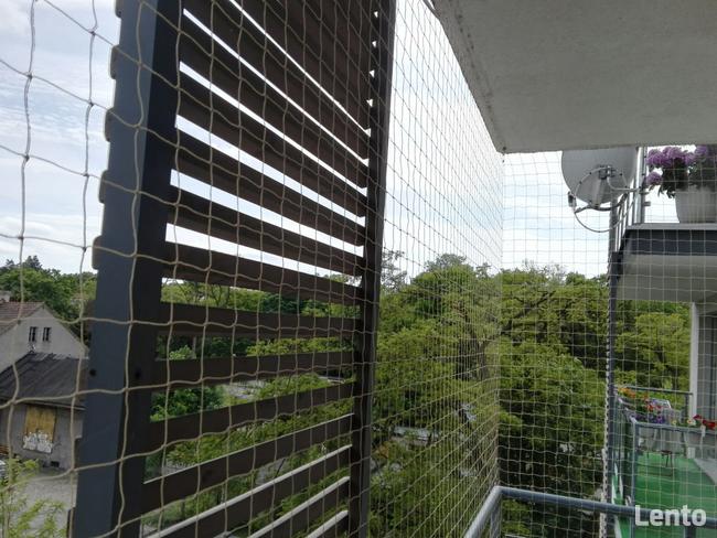 Siatka dla KOTA, siatka na balkon ZIELONA GÓRA