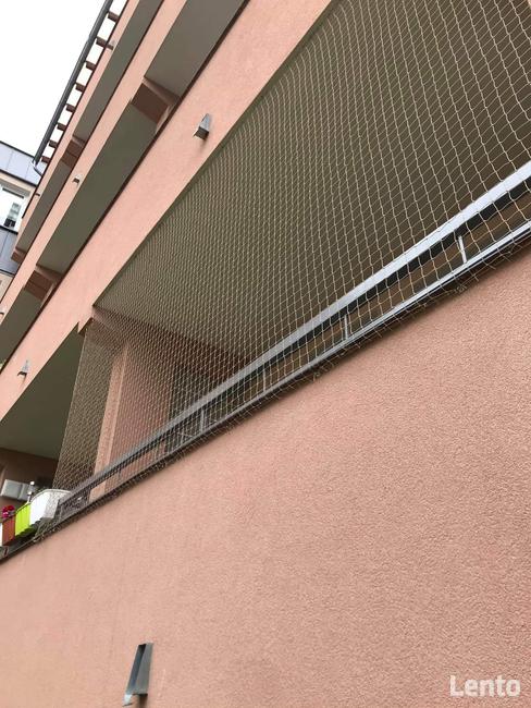 Siatka dla KOTA, siatka na balkon ZIELONA GÓRA