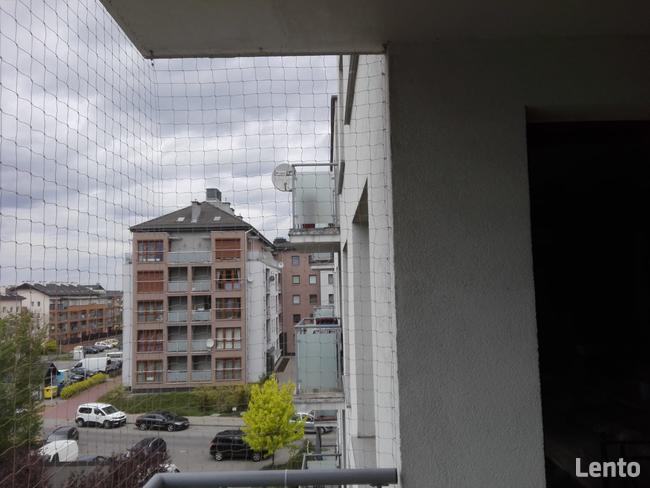 Siatka dla KOTA, siatka na balkon ZIELONA GÓRA