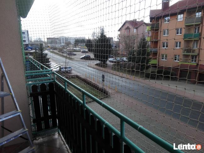 Siatka dla KOTA, siatka na balkon ZIELONA GÓRA