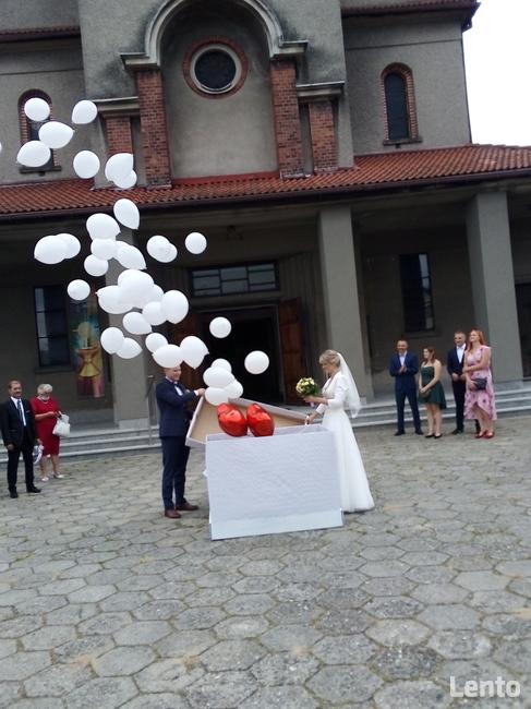Dekoracje balonowe Rybnik