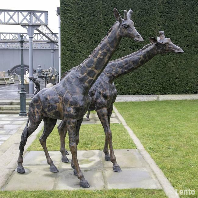 FONTANNA Z BRĄZU Koni na straży H150cm i innne