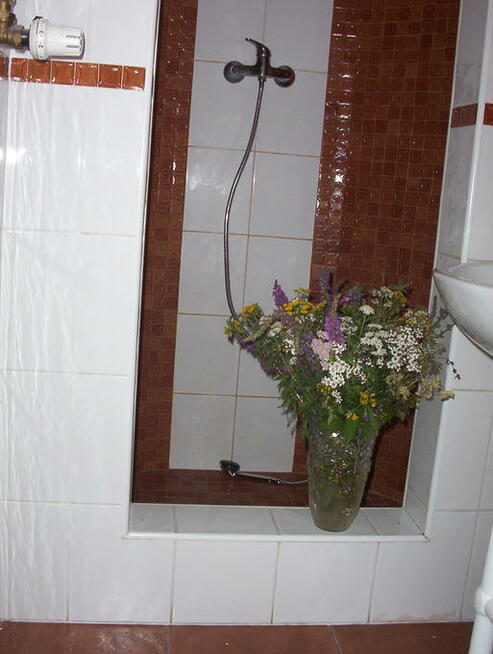 Pokój dla studenta - opłaty w cenie