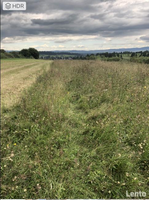 Dzialka budowlana w Szaflarach